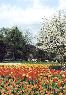 Frühling im Schlossgarten   Foto: H. Langenbach